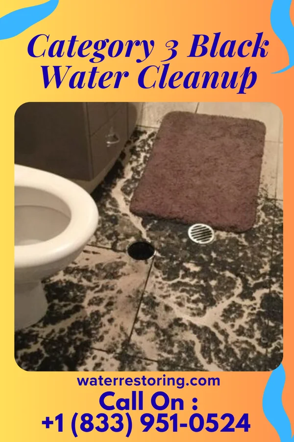 Category 3 Black Water Cleanup in Pelican Bay, TX
