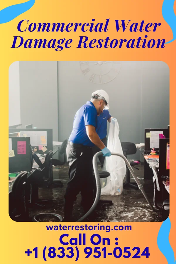 Commercial Water Damage Restoration in Pelican Bay, TX