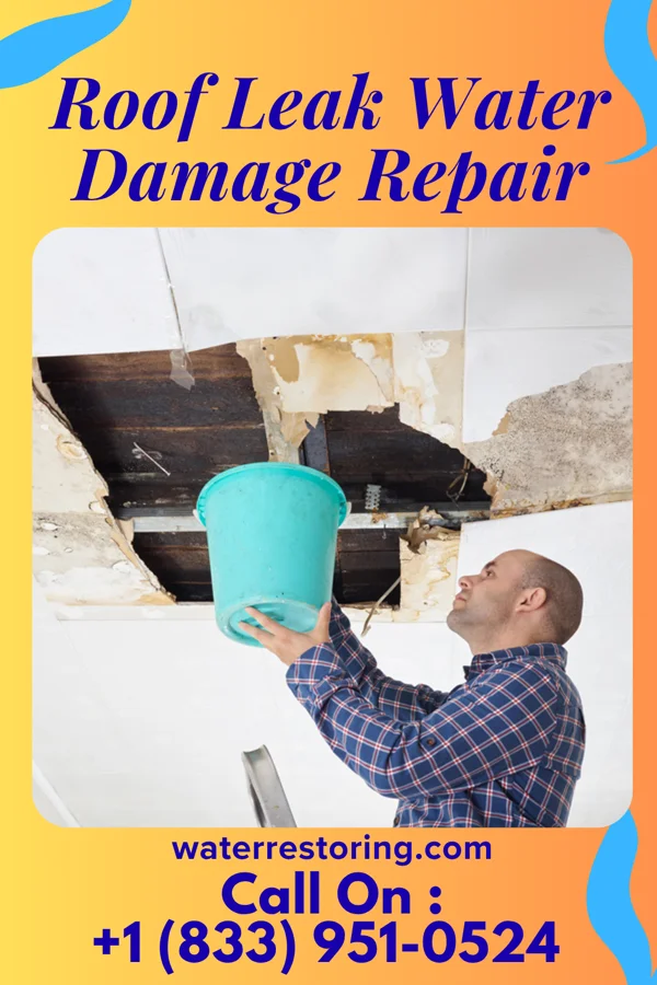 Roof Leak Water Damage Repair in Pelican Bay, TX
